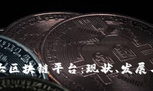 全球第二大区块链平台:现状、发展与趋势分析