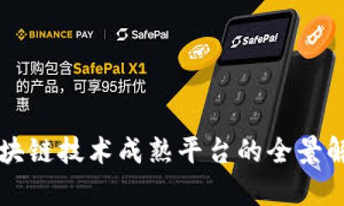 区块链技术成熟平台的全景解析