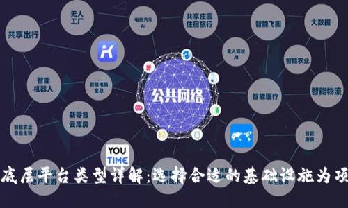 区块链底层平台类型详解:选择合适的基础设施为项目铺路