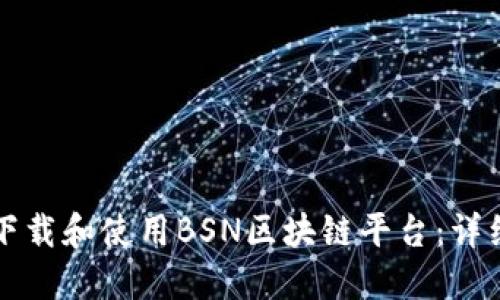 如何下载和使用BSN区块链平台:详细指南