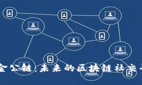国金公链:未来的区块链社交平台