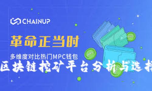 国外区块链挖矿平台分析与选择指南