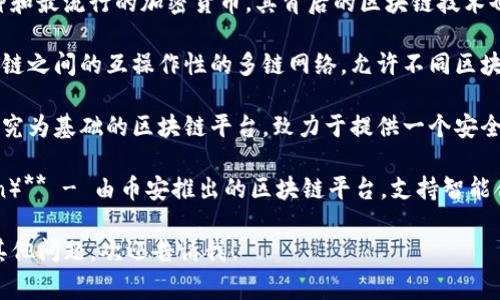 在这方面的常见正规区块链平台包括：

1. **以太坊（Ethereum）** - 一个开源区块链平台，支持智能合约和去中心化应用（DApps），广泛用于各种加密货币和ICO项目。
  
2. **比特币（Bitcoin）** - 世界上第一种和最流行的加密货币，其背后的区块链技术也被广泛认可为安全且高效。

3. **波卡（Polkadot）** - 旨在实现区块链之间的互操作性的多链网络，允许不同区块链共享信息和功能。

4. **卡尔达诺（Cardano）** - 一个以研究为基础的区块链平台，致力于提供一个安全且可扩展的网络，支持智能合约和DApps。

5. **币安智能链（Binance Smart Chain）** - 由币安推出的区块链平台，支持智能合约，旨在提高交易速度和降低费用。

如果您想详细了解某个具体平台，或者有其他问题，欢迎告诉我！