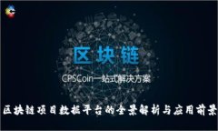 区块链项目数据平台的全景解析与应用前景