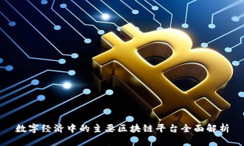 数字经济中的主要区块链平台全面解析