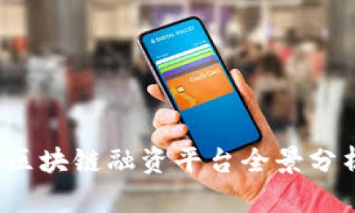 2023年中国区块链融资平台全景分析与投资指导