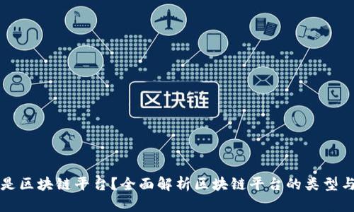 什么是区块链平台?全面解析区块链平台的类型与应用