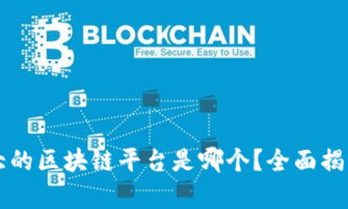 中国最大的区块链平台是哪个?全面揭秘与分析
