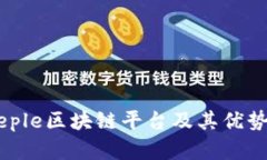 了解Reple区块链平台及其优势与应用
