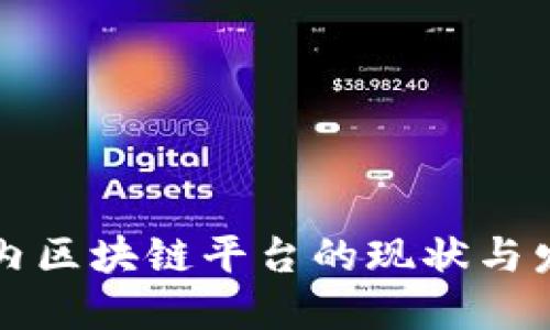 中国国内区块链平台的现状与发展趋势