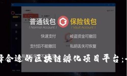 如何选择合适的区块链孵化项目平台:全面指南