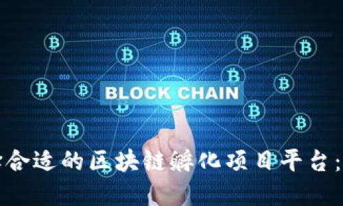 如何选择合适的区块链孵化项目平台:全面指南