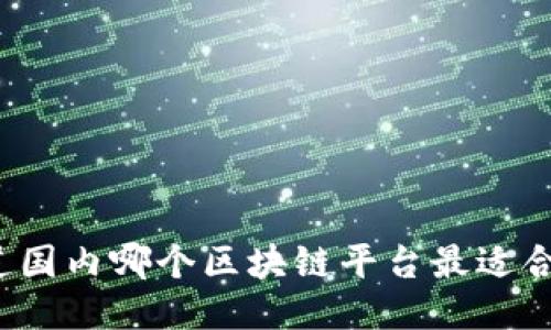 你知道国内哪个区块链平台最适合你吗？