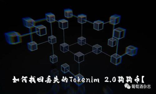 如何找回丢失的Tokenim 2.0狗狗币？
