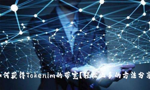如何获得Tokenim的带宽？轻松上手的方法分享！