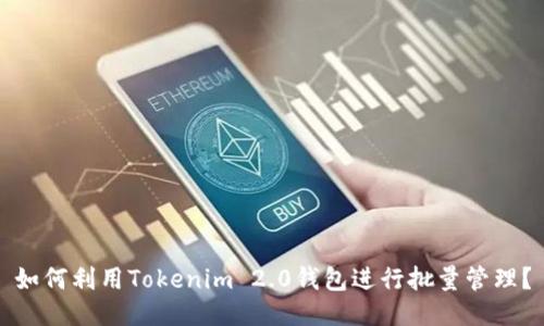 如何利用Tokenim 2.0钱包进行批量管理？