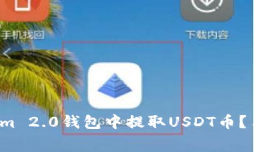 如何在Tokenim 2.0钱包中提取USDT币？手续费是多少？
