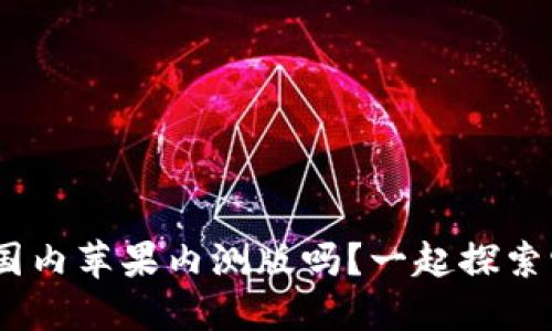 你了解tokenim的国内苹果内测版吗？一起探索它的功能和使用吧！
