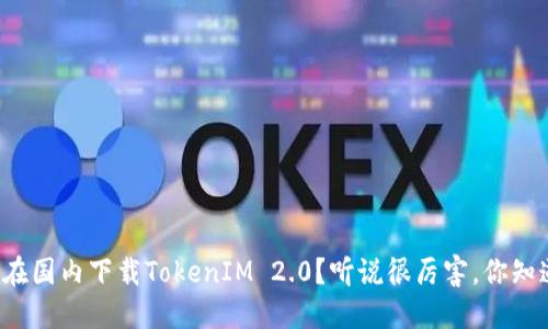 怎样在国内下载TokenIM 2.0？听说很厉害，你知道吗？