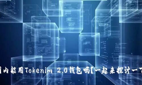 国内能用Tokenim 2.0钱包吗？一起来探讨一下！