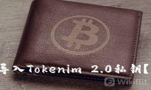 如何轻松导入Tokenim 2.0私钥？步骤详解！