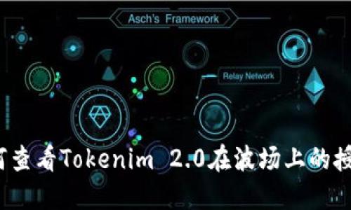 如何查看Tokenim 2.0在波场上的授权？