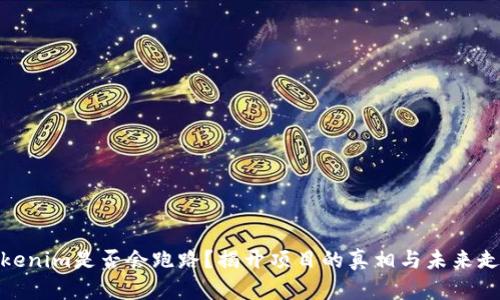 Tokenim是否会跑路？揭开项目的真相与未来走势