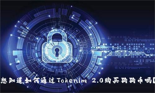 想知道如何通过Tokenim 2.0购买狗狗币吗？
