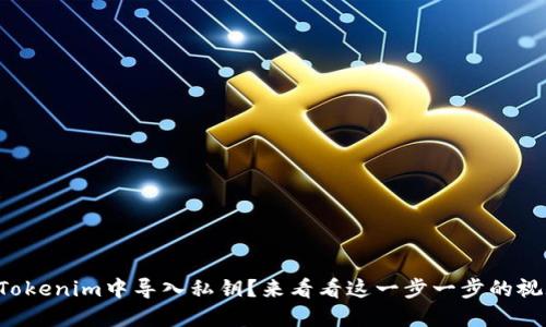 如何在Tokenim中导入私钥？来看看这一步一步的视频教程！