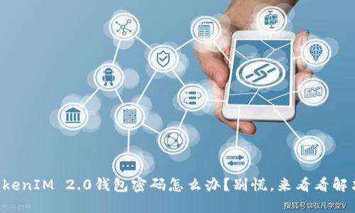 忘记TokenIM 2.0钱包密码怎么办？别慌，来看看解决方法！