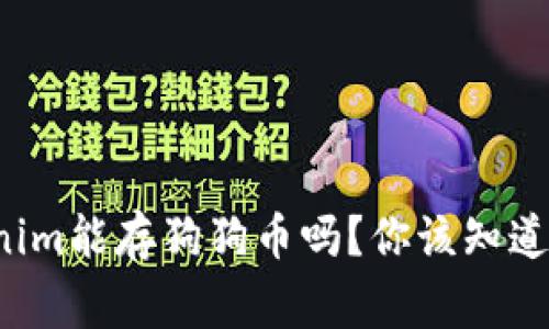 tokenim能存狗狗币吗？你该知道的事！