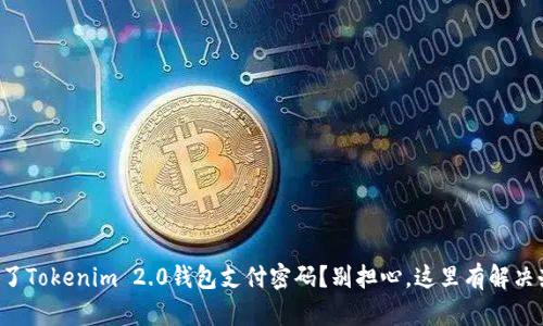 忘记了Tokenim 2.0钱包支付密码？别担心，这里有解决办法！