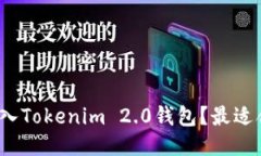 如何将文件放入Tokenim 2.0钱包？最适合的链是什么