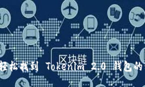 怎么轻松找到 Tokenim 2.0 钱包的私钥？