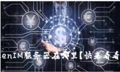 TokenIM服务器在哪里？快来看看吧！