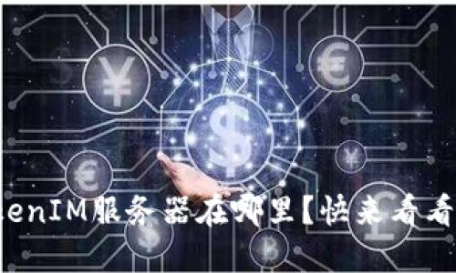 TokenIM服务器在哪里？快来看看吧！
