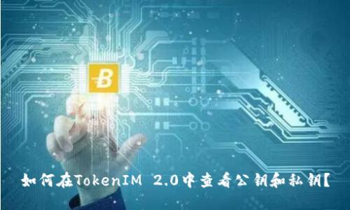 如何在TokenIM 2.0中查看公钥和私钥？