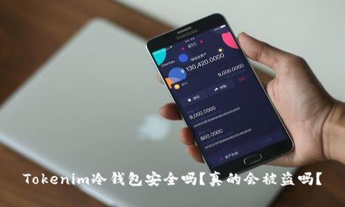 Tokenim冷钱包安全吗？真的会被盗吗？