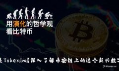 什么是Tokenim？深入了解币安链上的这个新兴数字