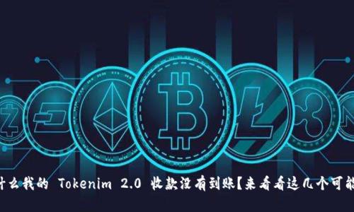 为什么我的 Tokenim 2.0 收款没有到账？来看看这几个可能性！