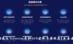 如何通过Tokenim质押CKB获取丰厚收益？来看看吧！