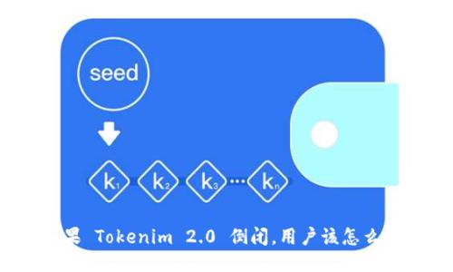 如果 Tokenim 2.0 倒闭，用户该怎么办？
