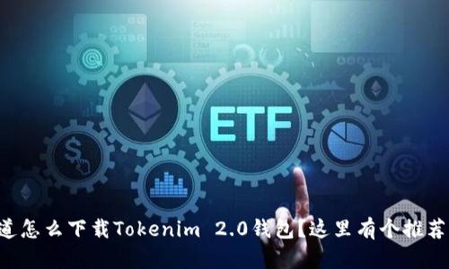 想知道怎么下载Tokenim 2.0钱包？这里有个推荐给你！
