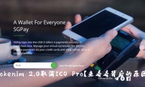 为什么Tokenim 2.0取消ICO Pro？来看看背后的原因与影响！
