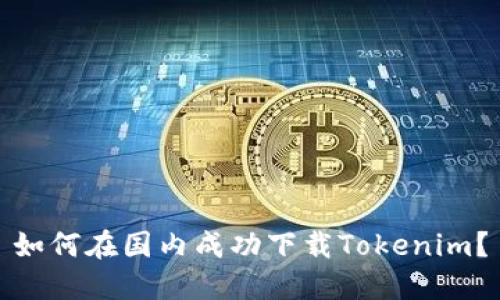 如何在国内成功下载Tokenim？