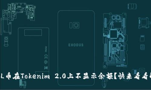 为什么FIL币在Tokenim 2.0上不显示余额？快来看看解决办法！