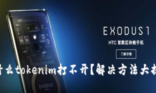 为什么tokenim打不开？解决方法大揭秘！