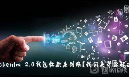 “Tokenim 2.0钱包收款未到账？我们来帮你解决！”