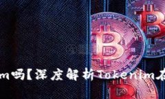 香港支持Tokenim吗？深度解析Tokenim在香港的发展前