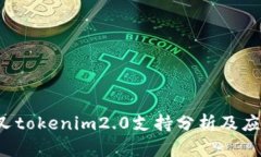 bch分叉tokenim2.0支持分析及应用指南